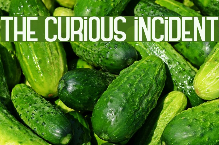 THE CURIOUS INCIDENT Font examples