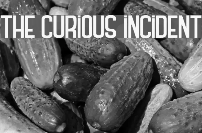 THE CURIOUS INCIDENT Polices examples