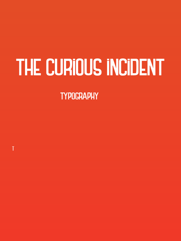 THE CURIOUS INCIDENT Poster