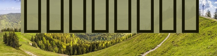 THE FONT Font examples