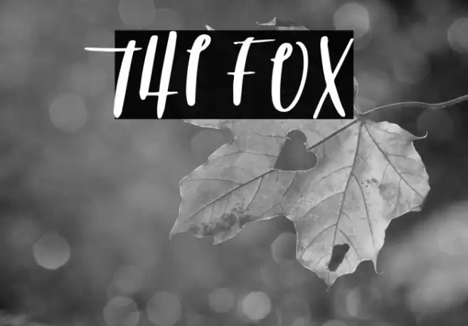 THE FOX फ़ॉन्ट examples