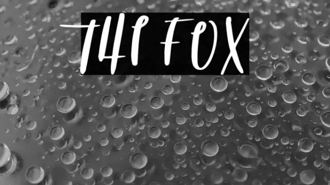 THE FOX फ़ॉन्ट examples