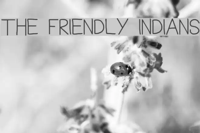 THE FRIENDLY INDIANS Font examples