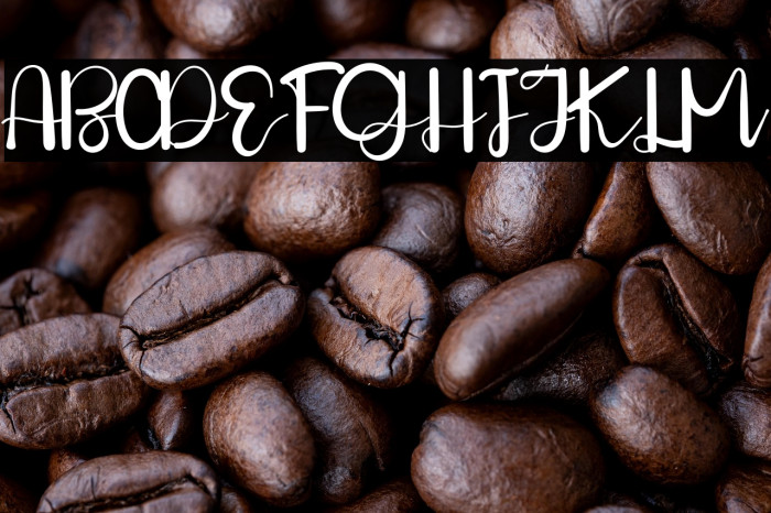 THE Fashions Example 1