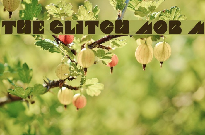 THE GLITCH MOB Medium Example 1