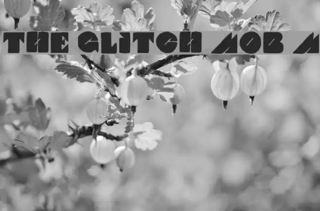 THE GLITCH MOB Medium Font examples