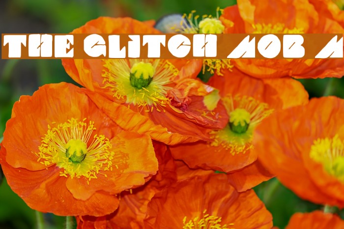 THE GLITCH MOB Medium Example 3