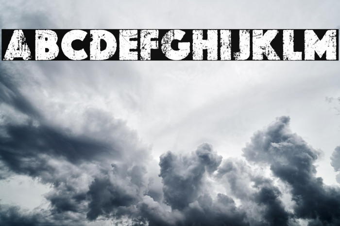 THE GLOBE PERSONAL USE Bold Example 1