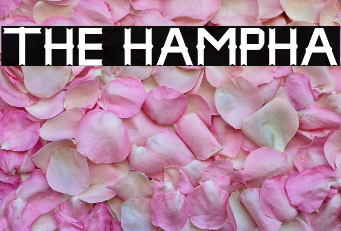 THE HAMPHA Example 2