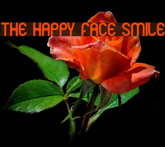THE HAPPY FACE SMILE Font examples