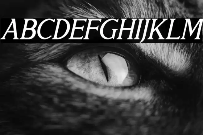 THE HELMUNTE Italic Font examples