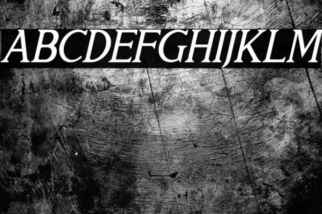 THE HELMUNTE Italic Font examples