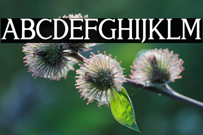 THE HELMUNTE Example 2