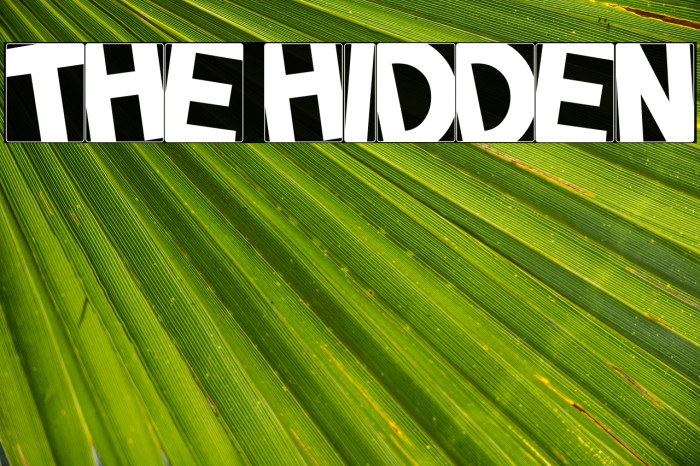 THE HIDDEN Example 1