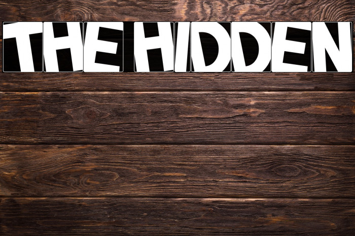 THE HIDDEN Example 2