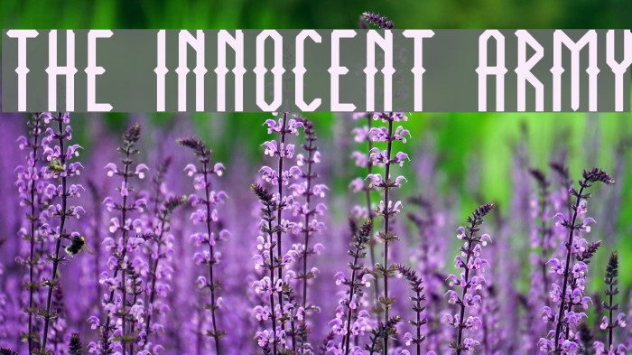 THE INNOCENT ARMY Font examples