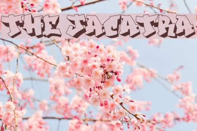 THE JACATRA Example 2
