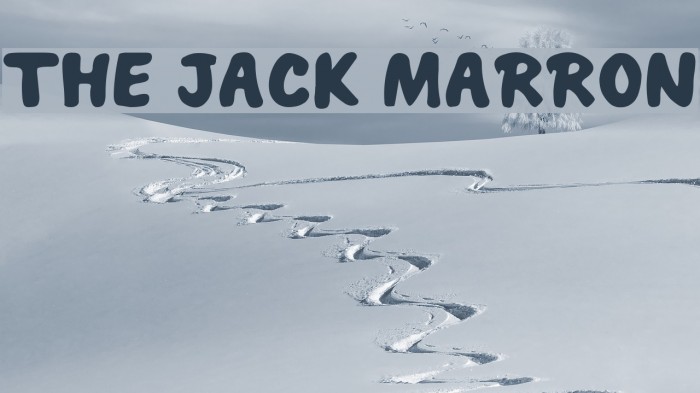 THE JACK MARRON Font examples