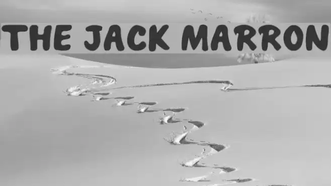 THE JACK MARRON Font examples