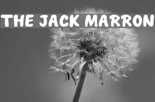 THE JACK MARRON Font examples