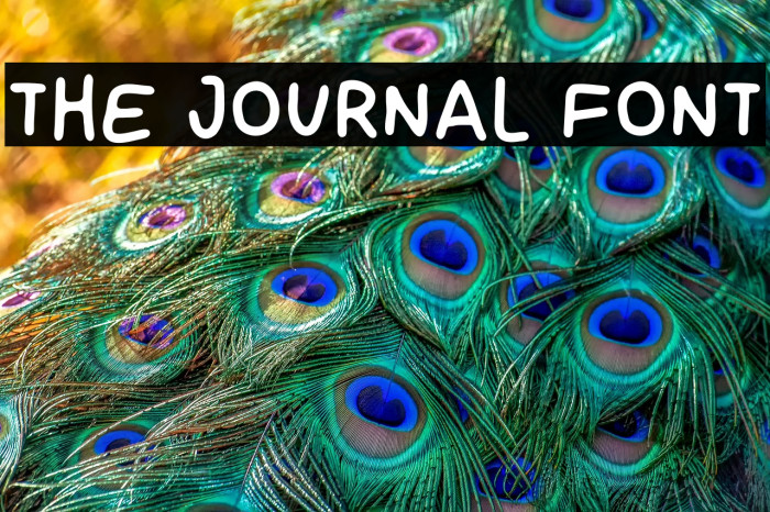 THE JOURNAL FONT Example 2