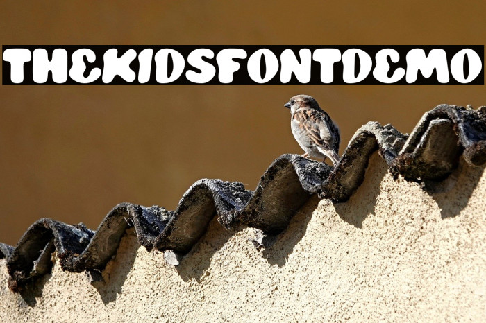 THE KIDS FONT DEMO Example 1