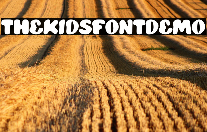THE KIDS FONT DEMO Example 3