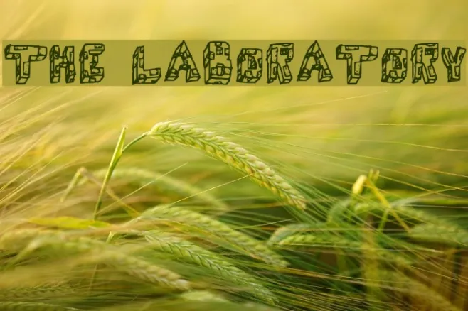 THE LABORATORY Example 1