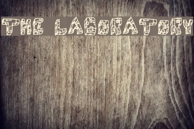THE LABORATORY Example 2