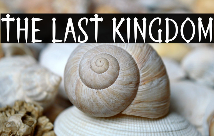 THE LAST KINGDOM Example 2