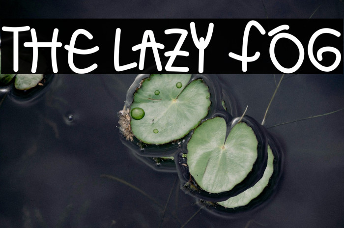 THE LAZY FOG Example 1