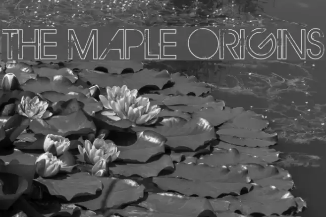 THE MAPLE ORIGINS Fonte examples