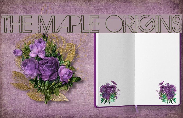 THE MAPLE ORIGINS Font examples