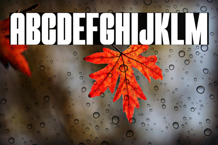 THE MEZIRANE Example 1