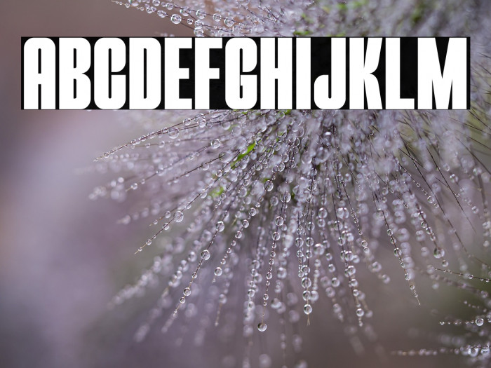 THE MEZIRANE Example 2