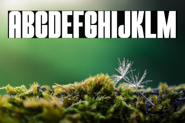 THE MEZIRANE Example 3