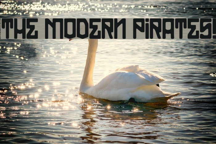 THE MODERN PIRATES! Example 1