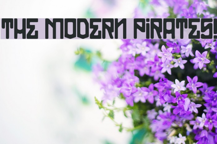 THE MODERN PIRATES! Example 2