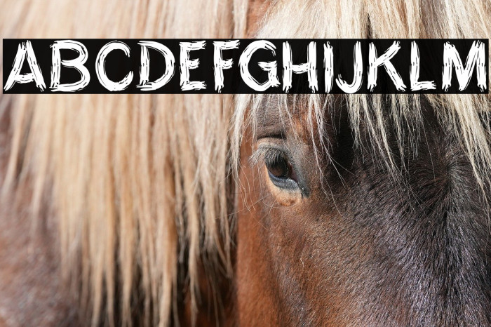 THE MYTH OF RIVER SOLO Example 1