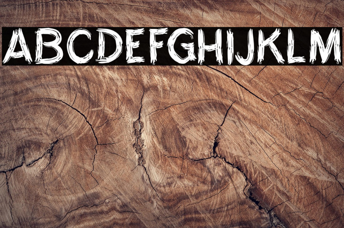 THE MYTH OF RIVER SOLO Example 2