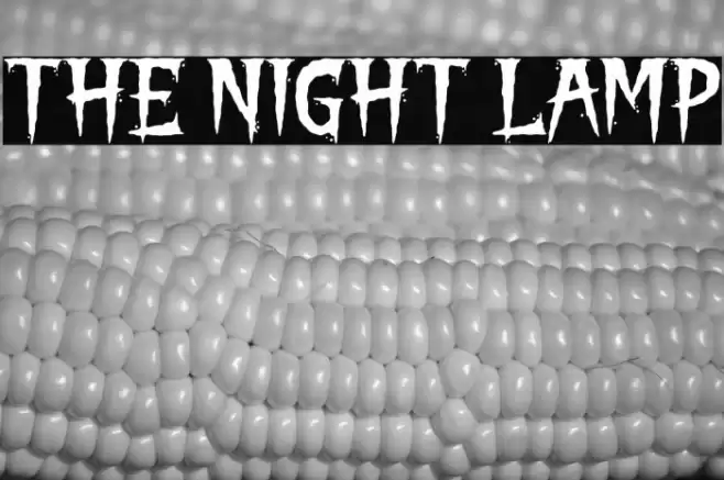THE NIGHT LAMP Font examples