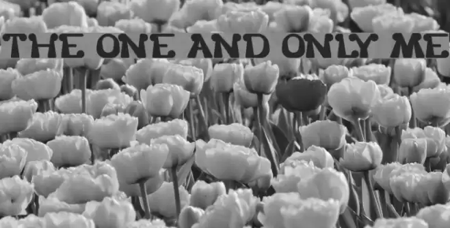 THE ONE AND ONLY ME Font examples
