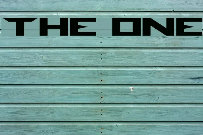 THE ONE Example 1