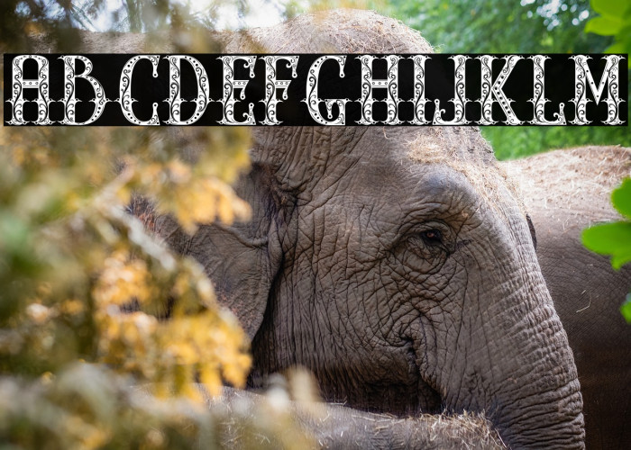 THE PARTHENON1 Example 1