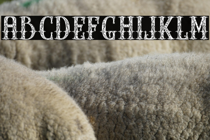 THE PARTHENON1 Example 3