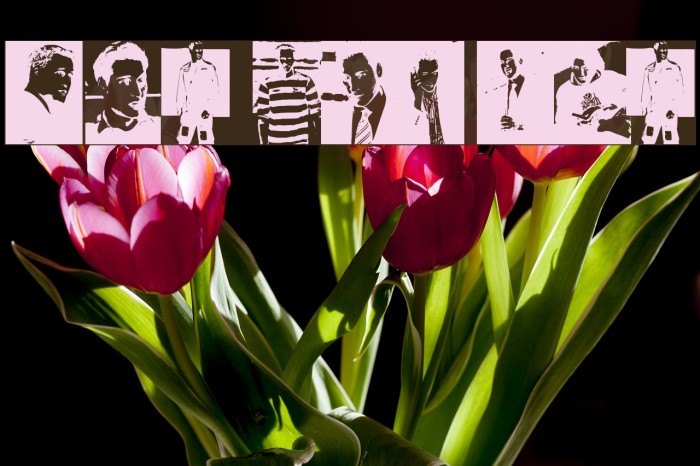 THE PRINCE Font examples