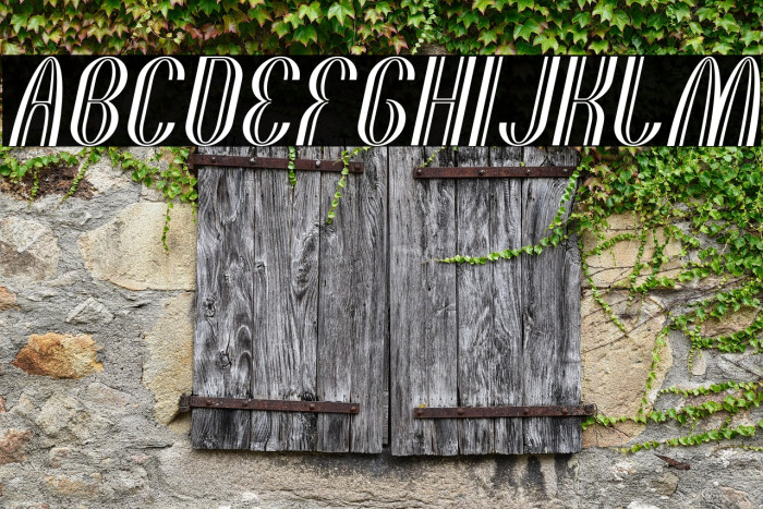 THE QUICK MOTORCROSS Italic Example 2