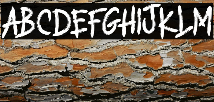 THE RANDOTS Example 1