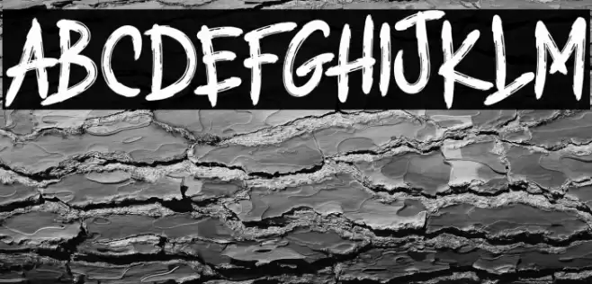 THE RANDOTS Font examples