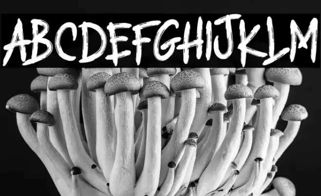 THE RANDOTS Font examples